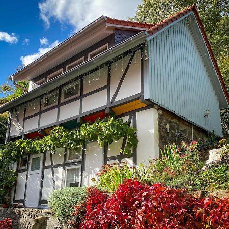 Harz Im Glueck - Fachwerkhaus Fuer Zwei In Wernigerode Villa Eksteriør billede